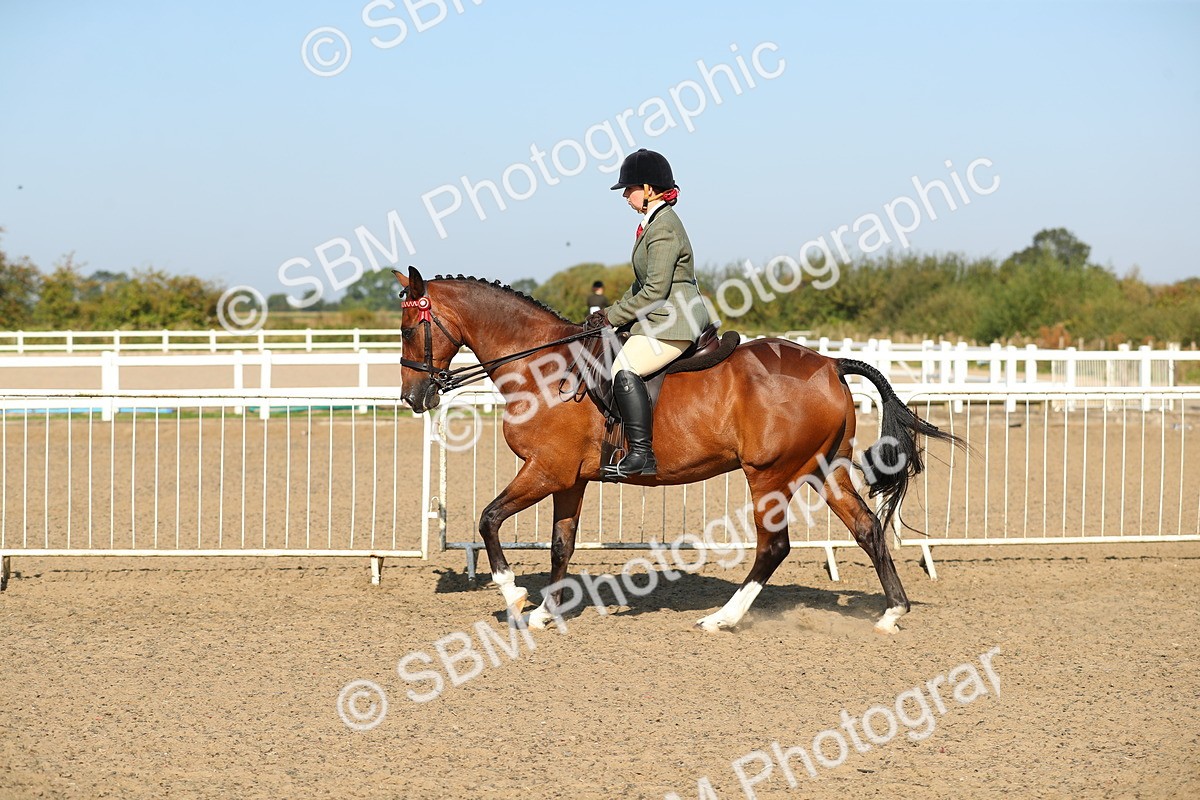 SBM_01213 - Class 42 Ridden Veteran
