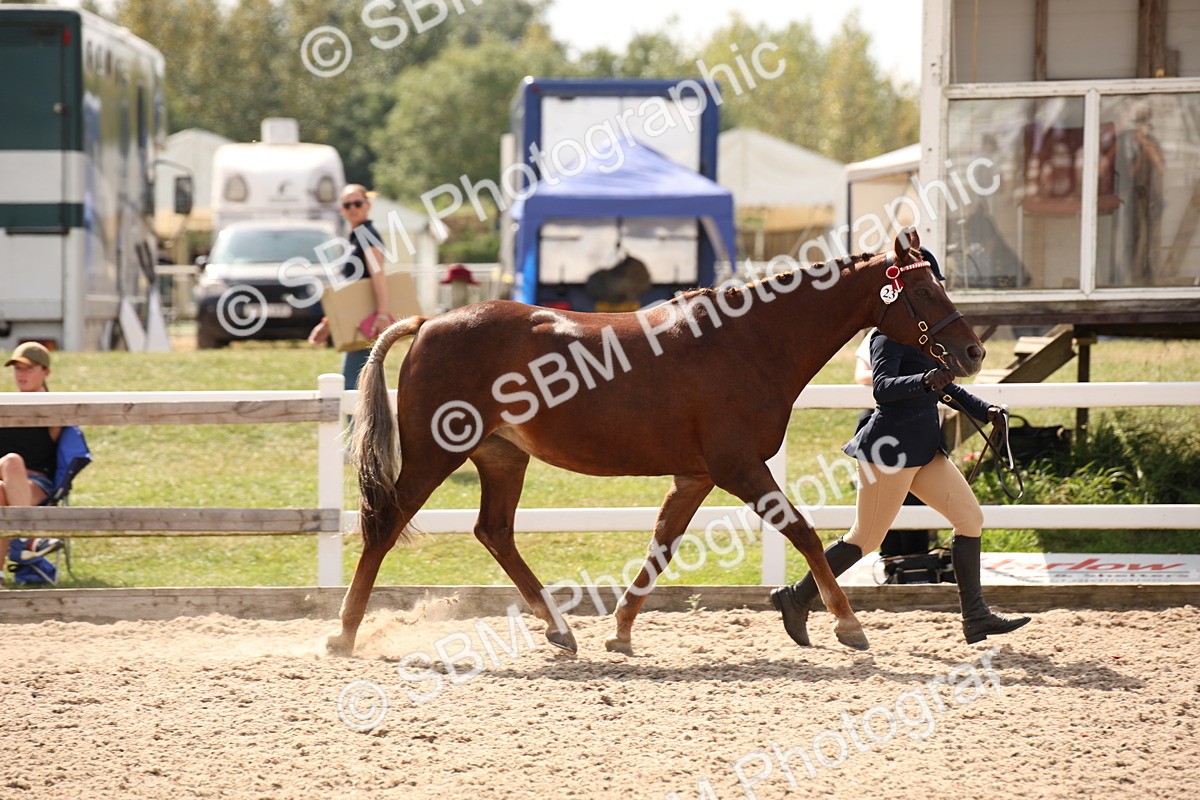 SBM_04581 - Class 20 IH Veteran