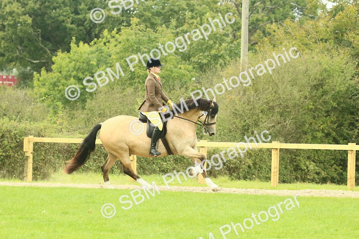 SBM_71881 - S60 - Mountain & Moorland Ridden Large Breeds