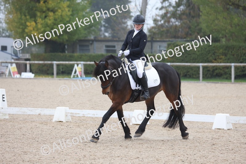 20251012-0520 - Class 4 - Novice 6