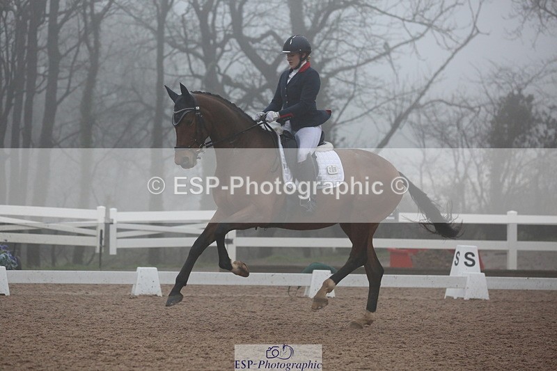 240217A-161819-04384 - 209-Charlotte.Dicker-Catherston.Tarantella