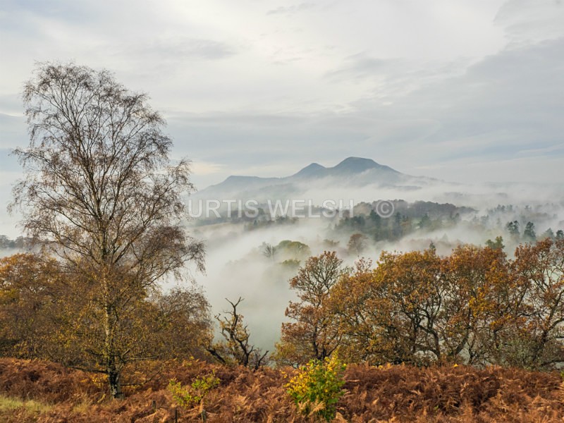 7 - SCOTTISH BORDERS