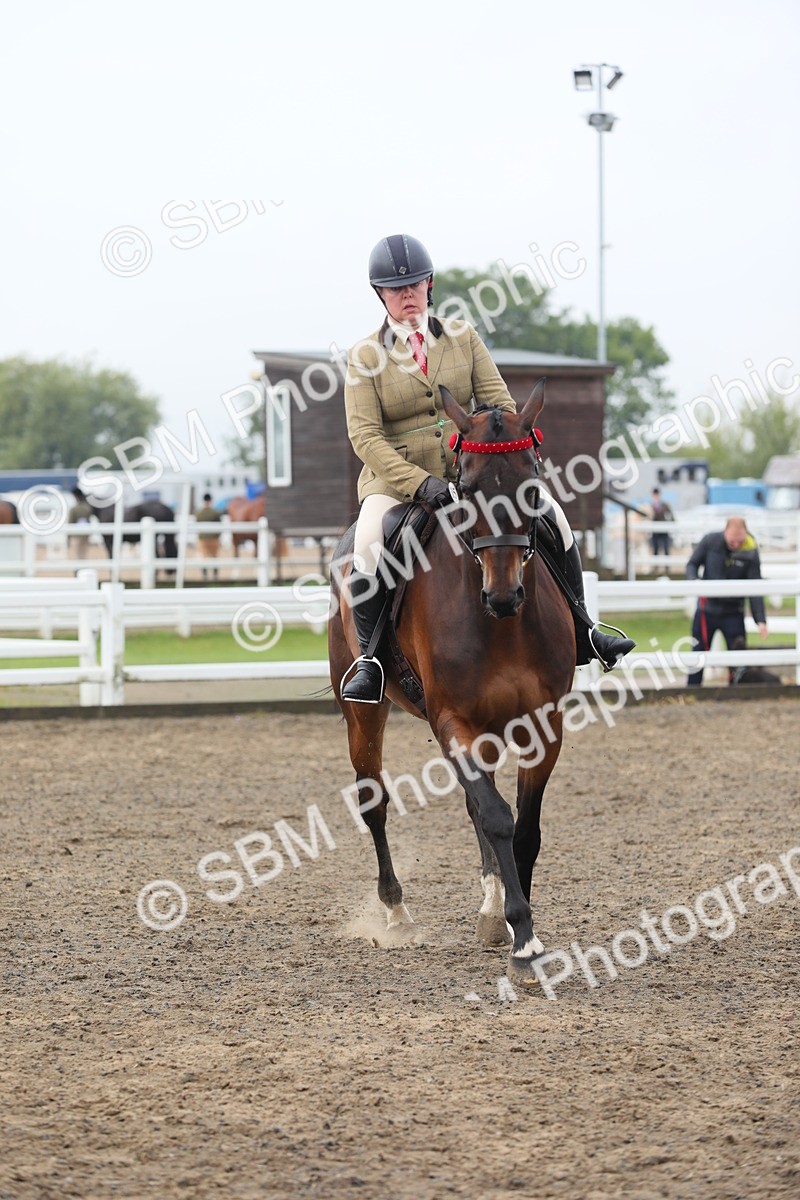 SBM_21323 - Class 805 - Ridden Veteran Horse