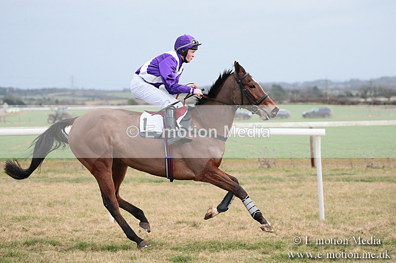 PtP 270119 494 - Cocklebarrow Races 27/01/19