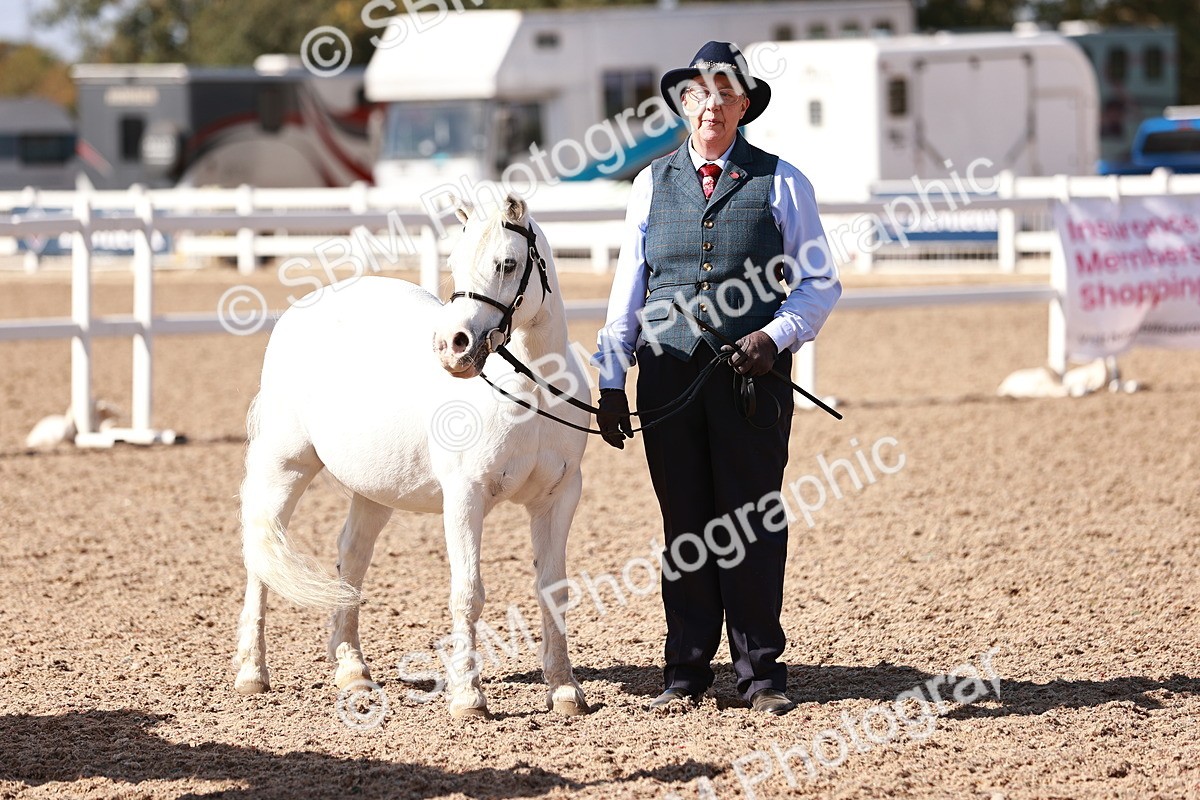 SBM_22902 - Class 706 - IH Veteran