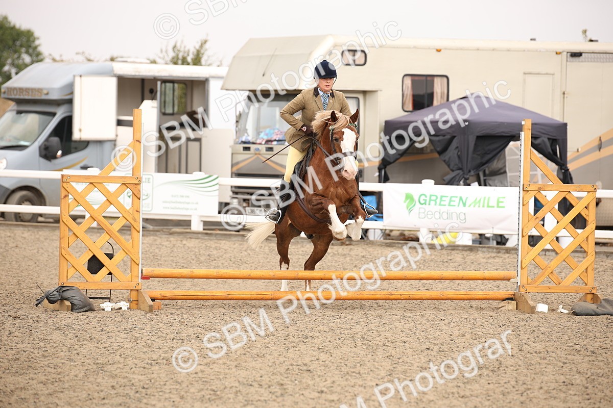 SBM_12596 - Class 405b - M&M Working Veteran 50cm 20+