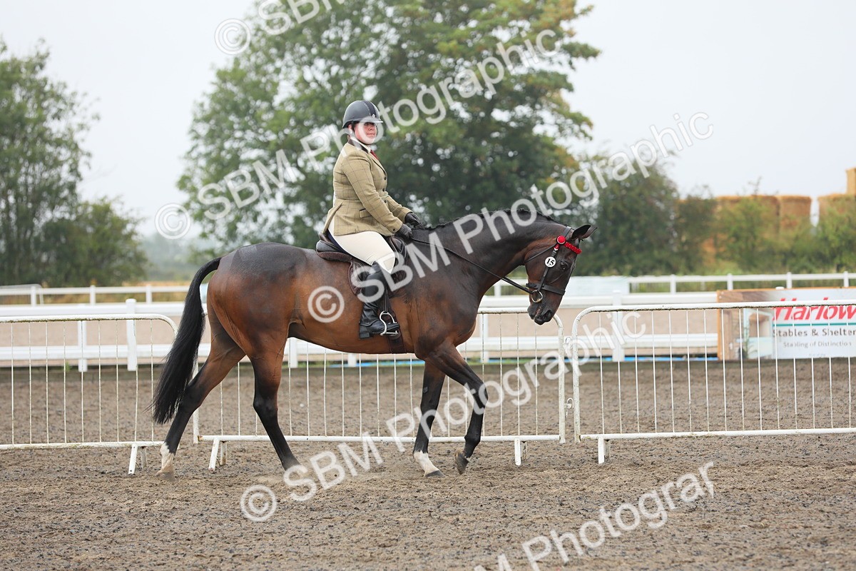 SBM_21221 - Class 805 - Ridden Veteran Horse