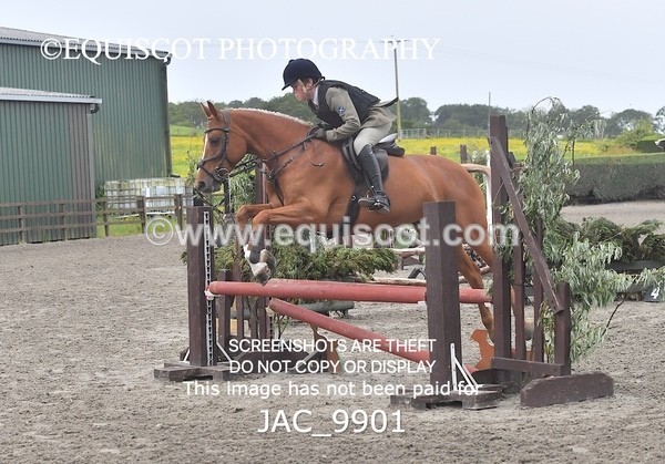 JAC_9901 - CLASS 3 Intermediate Working Hunter (0.70m - 0.85m)