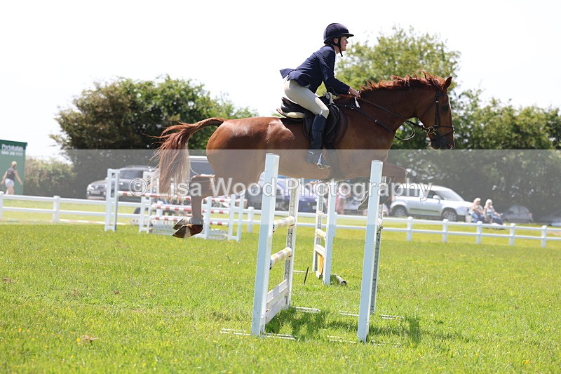 3E7A1267 - Class 12: Senior Foxhunter/1.20 open