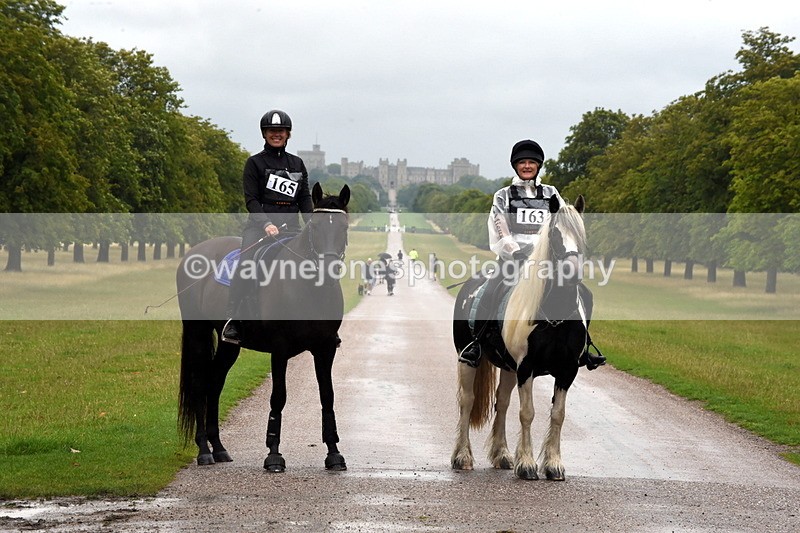 TT3_8199 - Time at Crossing 09:15 to 10:15