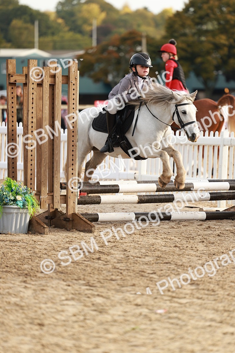 SBM_55567 - J11 - Junior Pony 50cm Championship