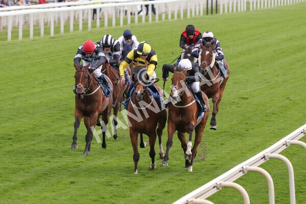 yr10062022r7-16 - Race 7 5.10pm Andy Thornton Hospitality Furniture Stakes