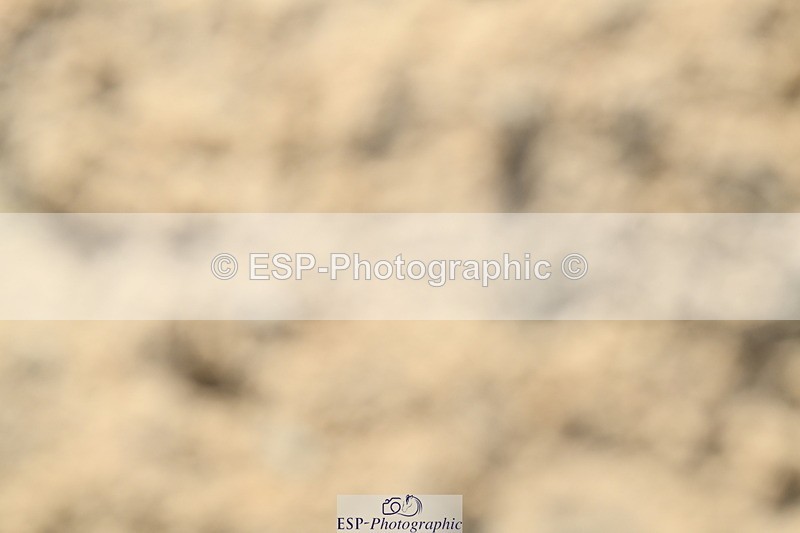 251004A-105349-00462 - Classes 4 & 5 50cm