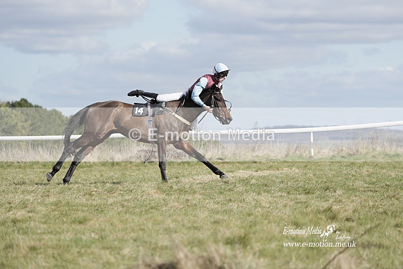 PtP 260223 479 - South & West Wilts Point-to-Point Larkhill 26/02/23