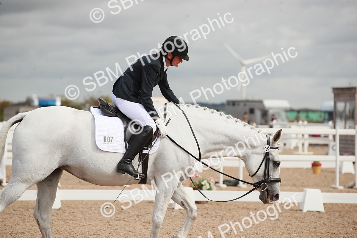 SBM_03910 - Class 31 - Prelim 1