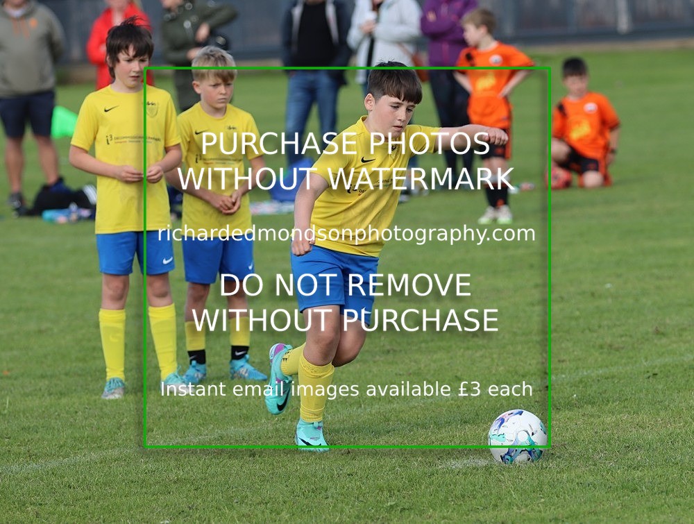 IMG_7412 - Whitehaven Amateur Blues