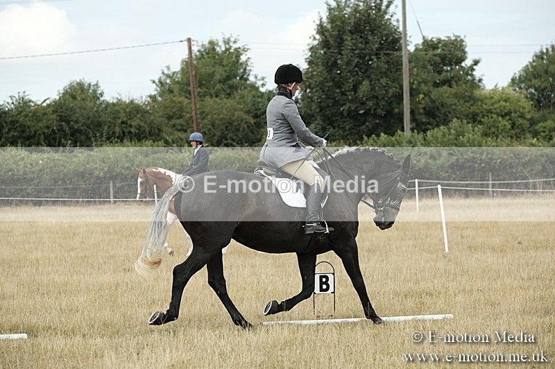 _PJP5754 - Dressage Classes BVRC Show 2018