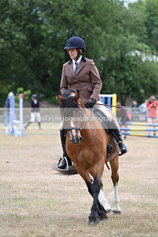 WJ7_0534 - Class 6 Ridden Mountain and Moorland