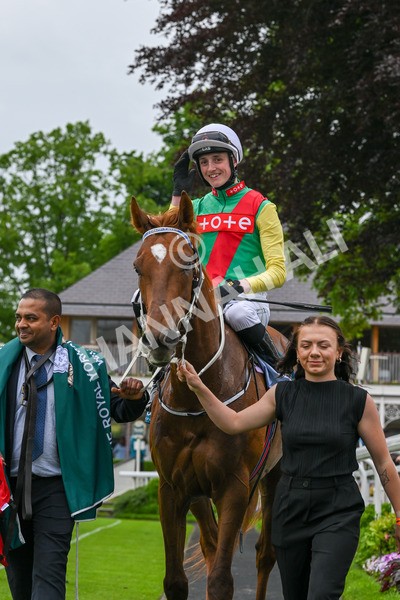 250524-Race 6-Primo Lara-4316 - Race 6 4.30pm Royal Yorkshire Regiment Handicap