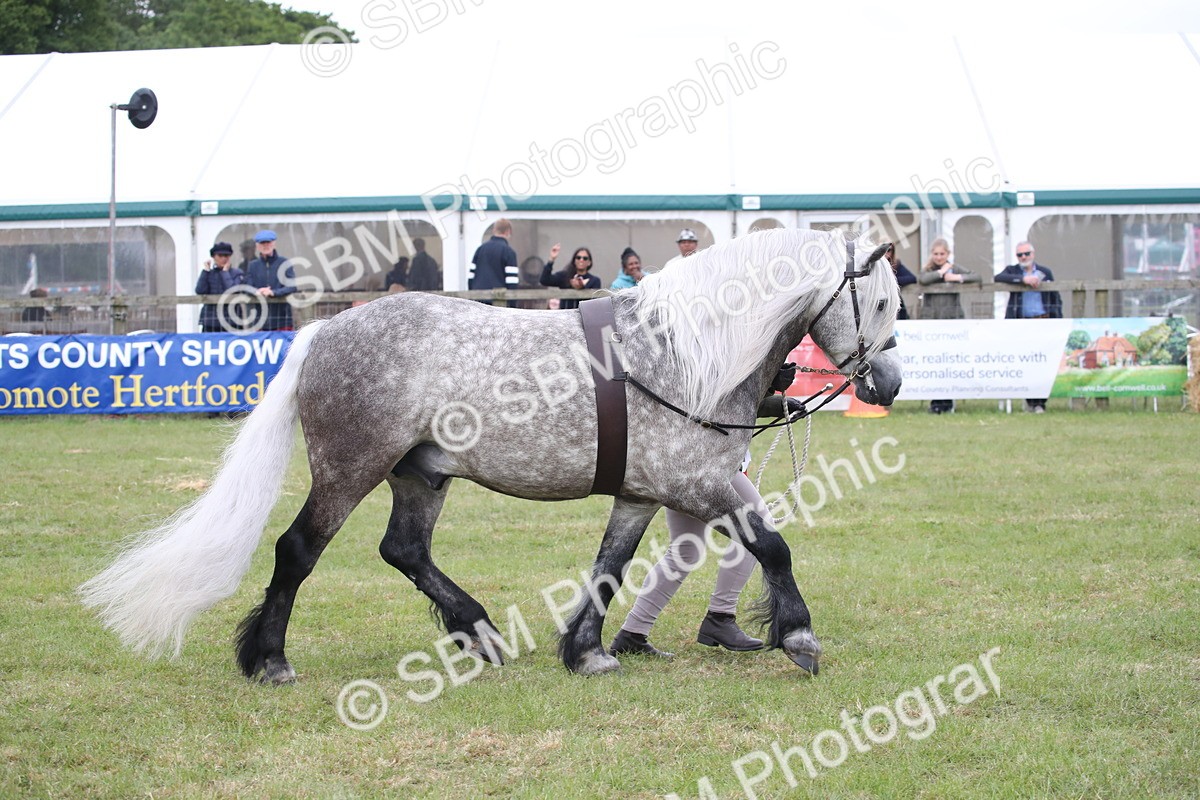 SBM_09811 - Ch 50 - Price Family Supreme In Hand