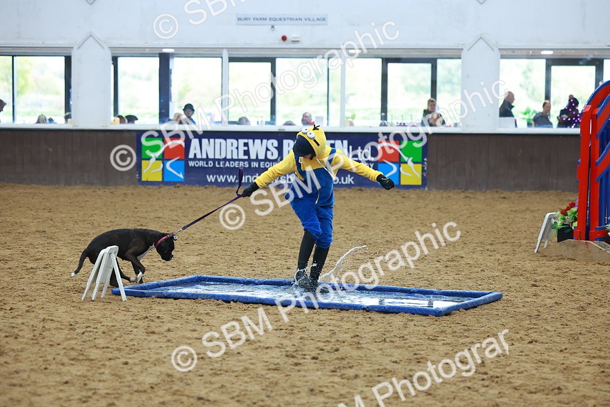 SBM_002257 - Class 3 - Horse & Hound (60cm)