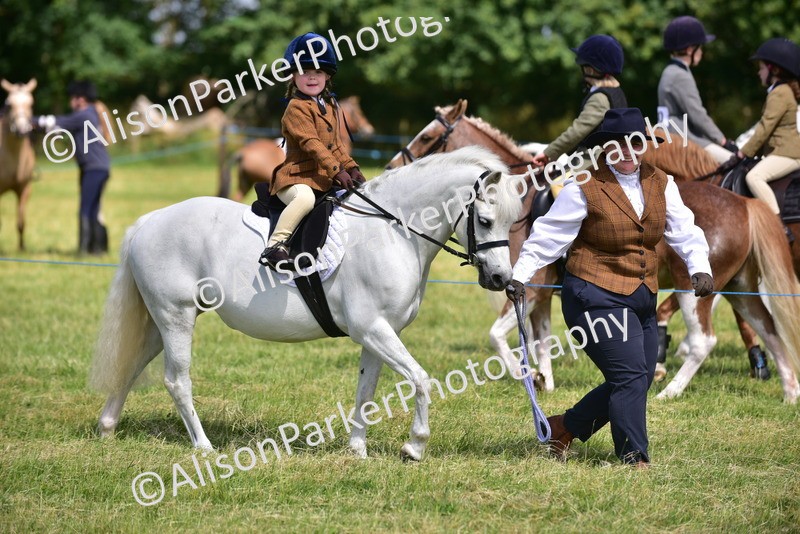20260614-1152 - Class 11a - Lead Rein Pony (Unplaited)
