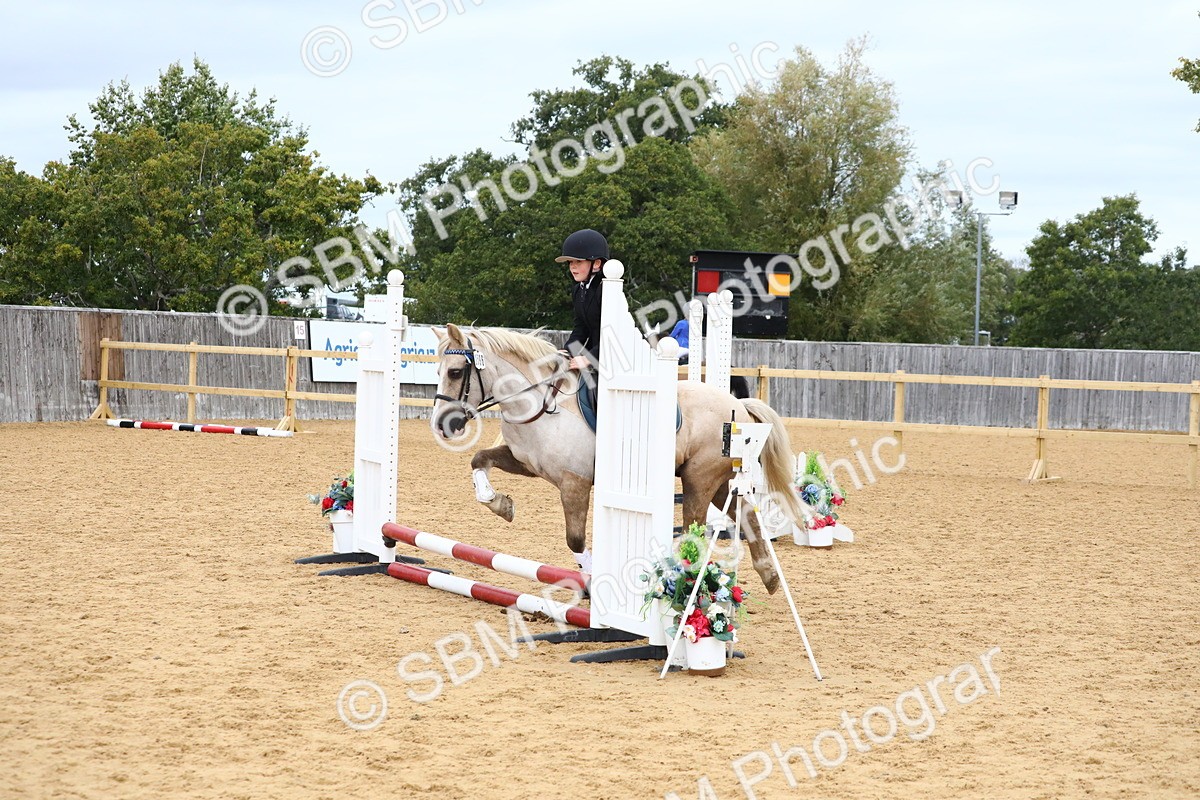 SBM_68175 - J3b - Mini Tour Junior Pony 40cm Championship