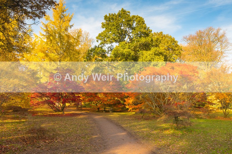 20161111-3K8A9186-4505 - England