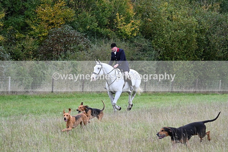 WJ7_3564 - Camera 1 Line 1