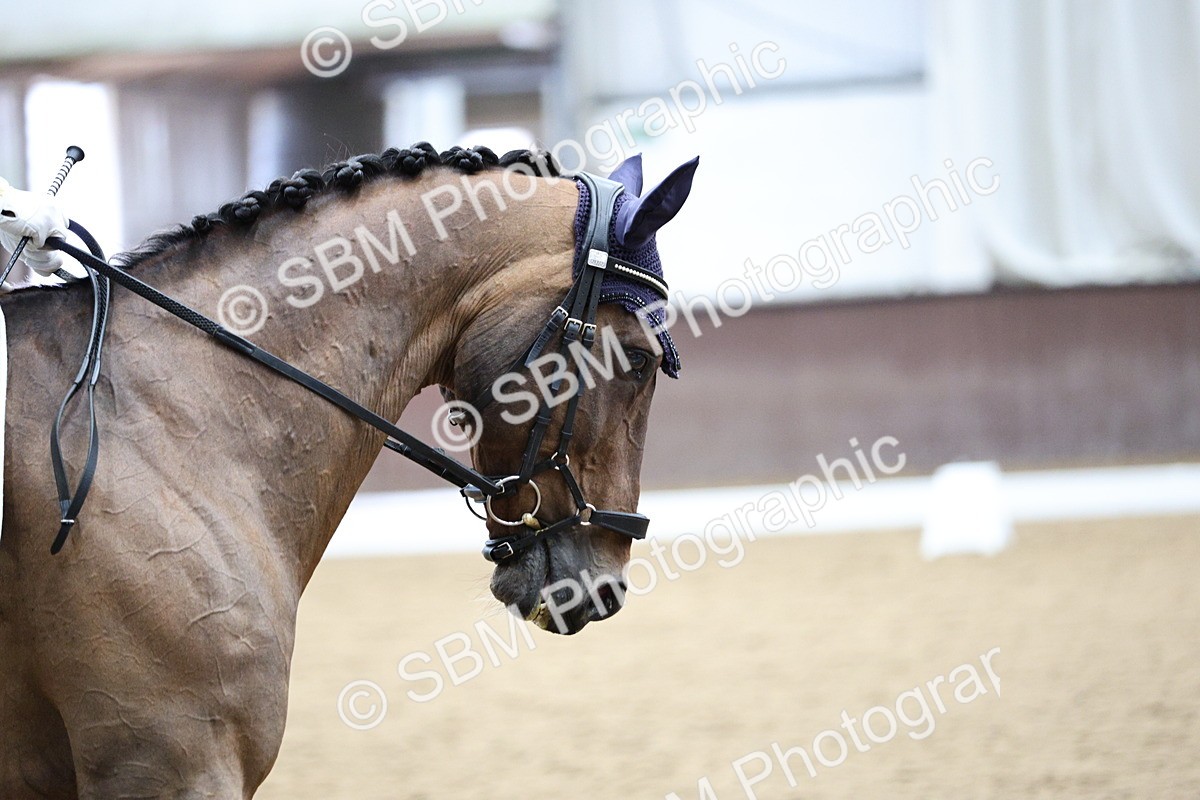 SBM_001644 - Class 7 - Elementary 5