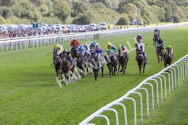 240824-Race 4-Magical Zoe-9119 - Race 4 3.35pm Sky Bet Ebor Handicap