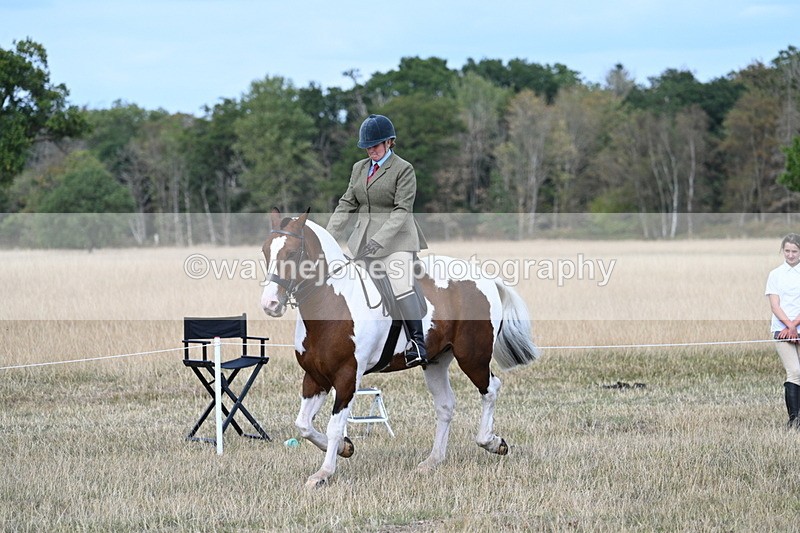 WJ7_7168 - Class 14 Ridden Coloured