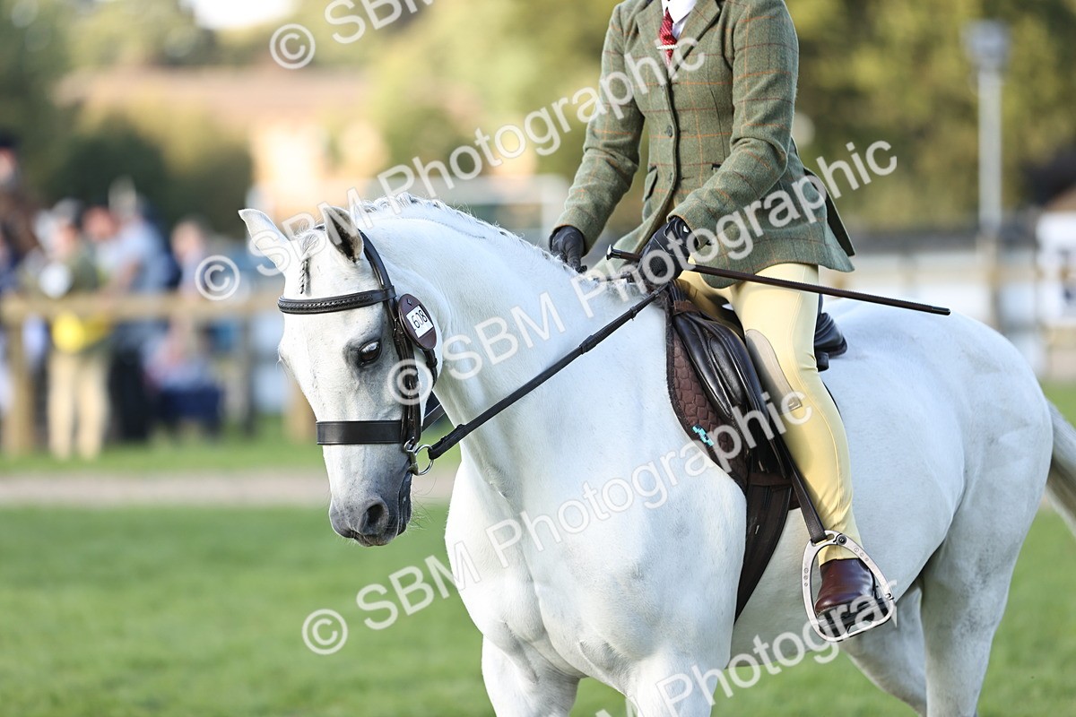 SBM_29457 - S7 - Novice & Newcomers Ridden Pony