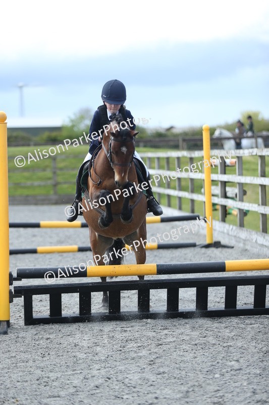 20260412-1789 - Show Jumping