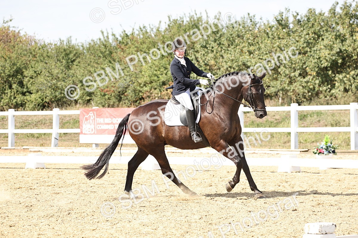 SBM_014879 - Class 7 - Medium 3