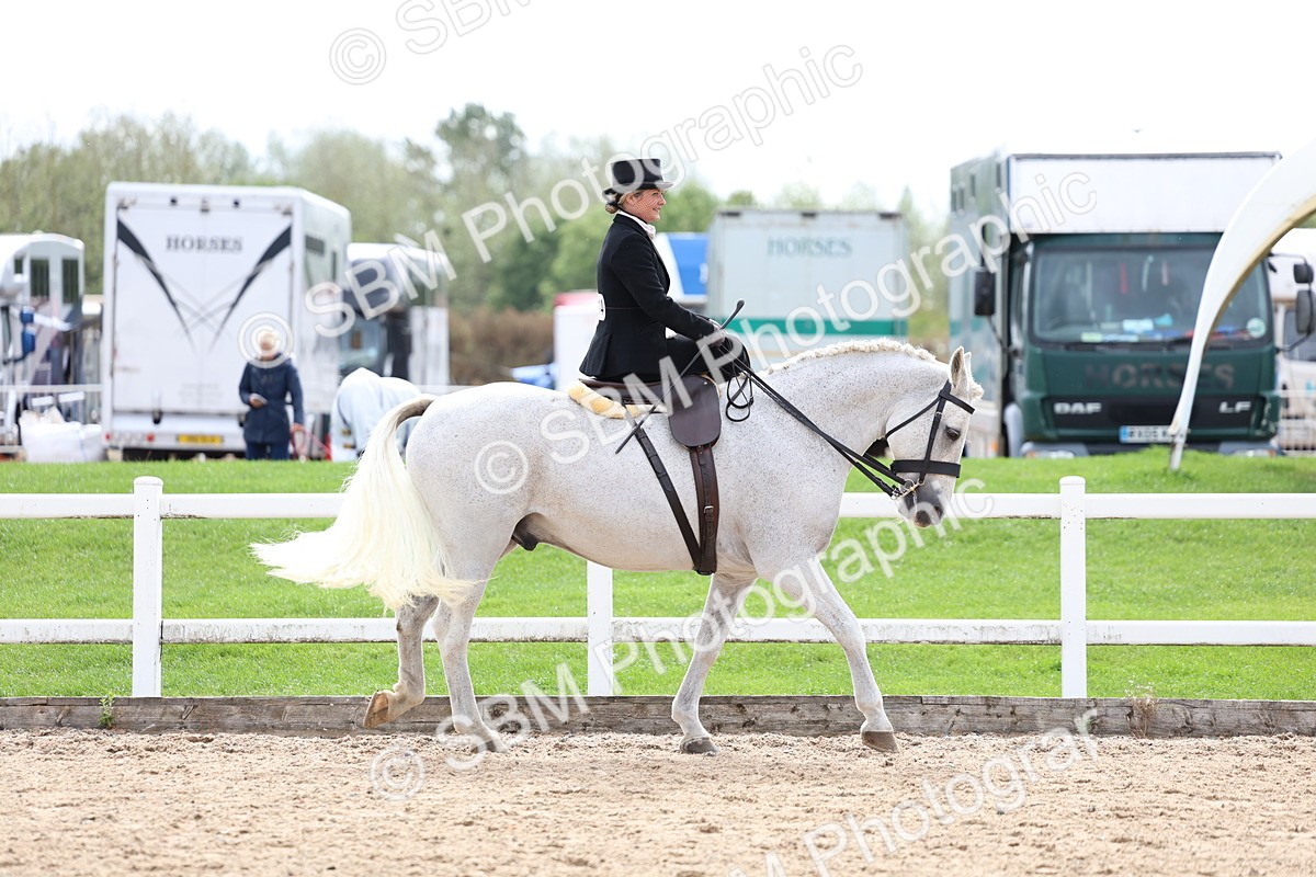 SBM_03377 - Class 24 - SSA Concours d'elegance (any age)
