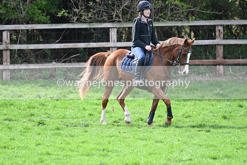 WJ7_0010 - Time 13:13 to 13:55