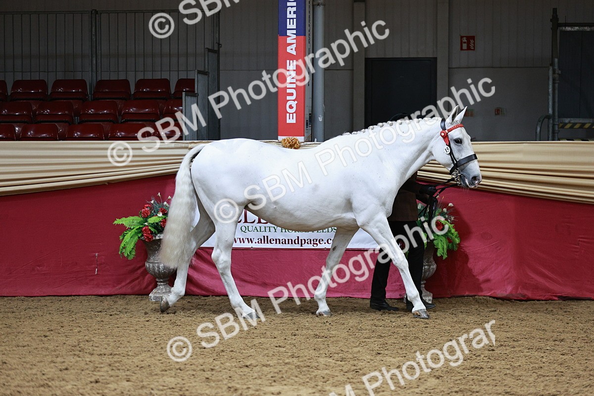 SBM_01126 - Class 3A - Area IH Pre-Vet