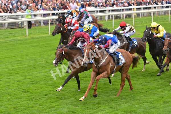 yr19082021r3-44 - Race 3 3.00pm Clipper Logistics Stakes