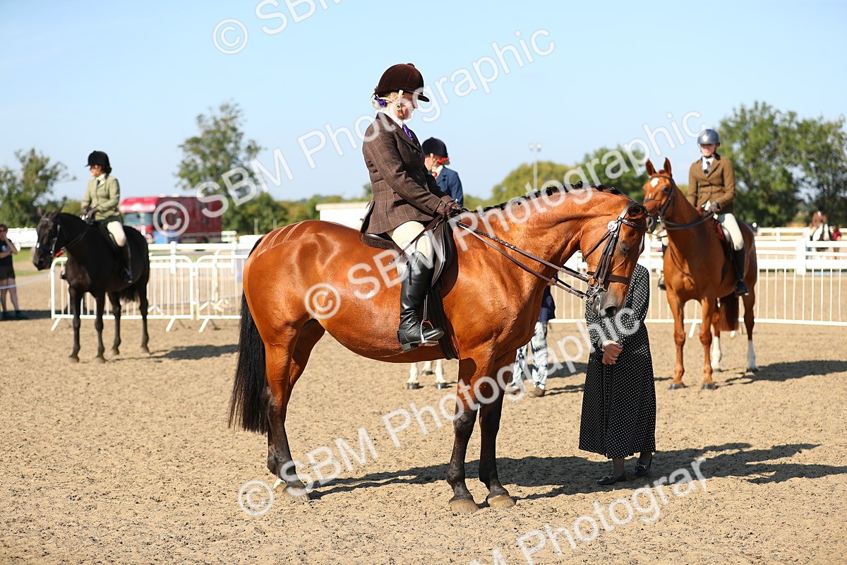 SBM_02272 - Class 43 Ridden Competition Horse/Pony