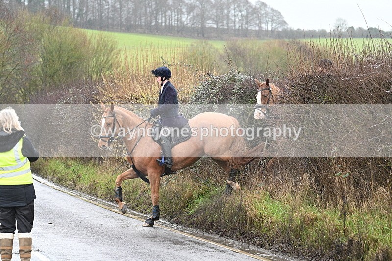 WJ7_6950 - Crossing A Camera