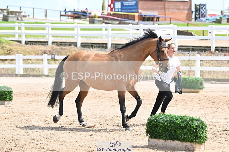 240717A-145113-02346 - Trot Up 2pm to 3pm - This folder is not in time order