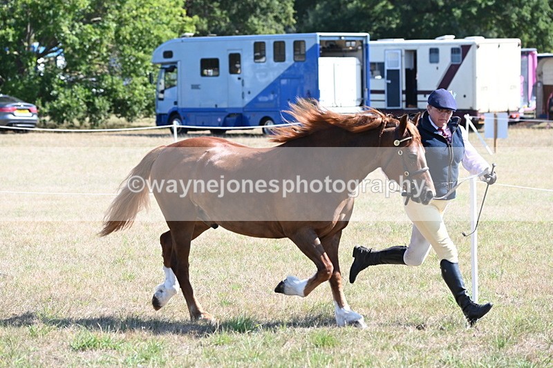 WJ6_4576 - Class 17 Mountain & Moorland