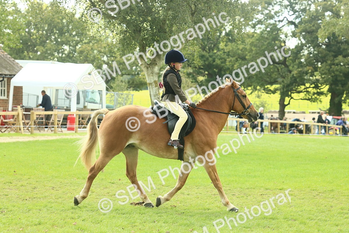 SBM_62494 - S62 - Foreign Breeds Ridden