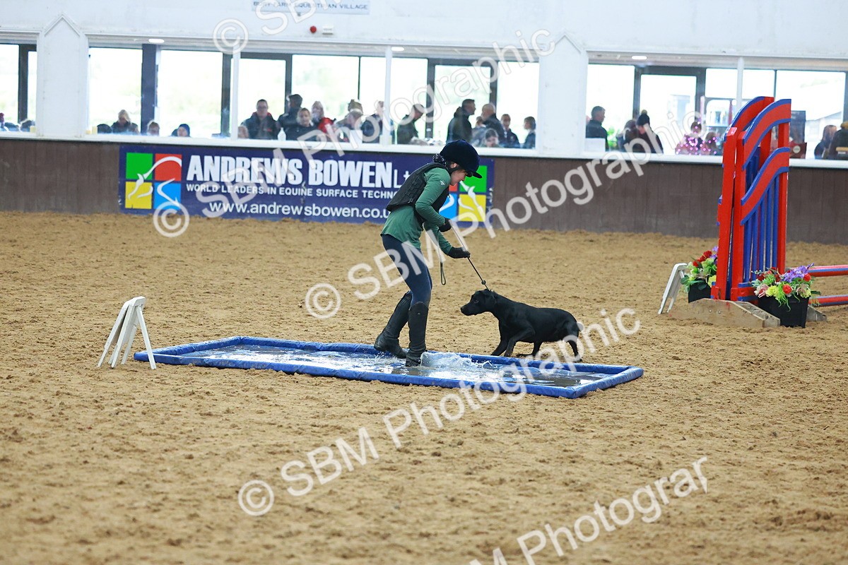 SBM_002409 - Class 3 - Horse & Hound (60cm)