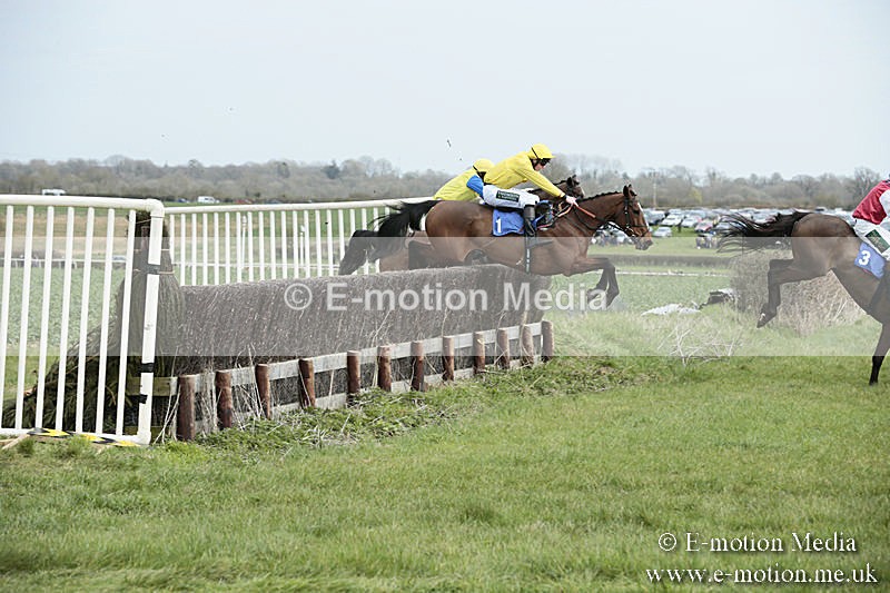 PtP 230319 41 - VWH Hunt Siddington Point-to-Point Racing 23/03/19