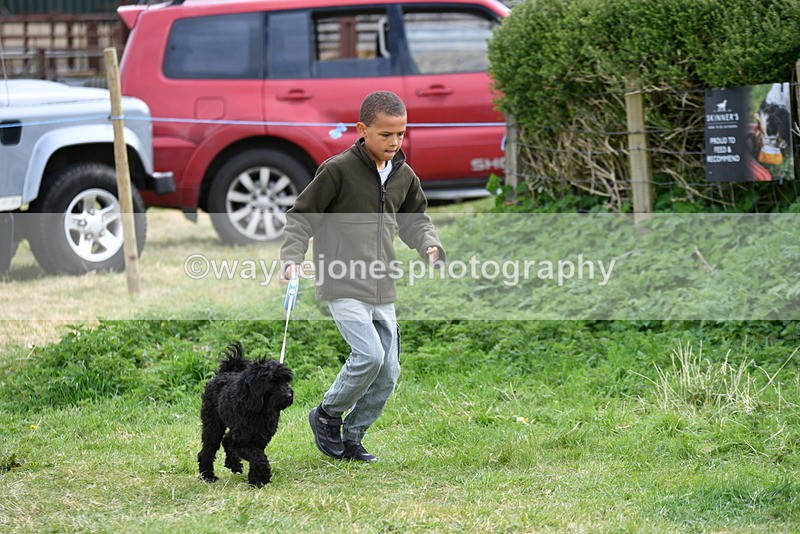 WJ5_9150 - Class 1 Best Cross Breed / Heniz 57