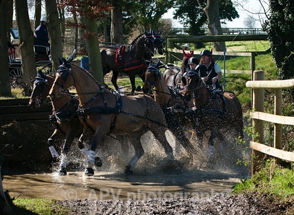 _DSC0226 - Ashfields Carriage & Polo Club