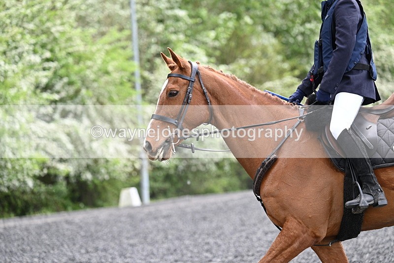 WJ7_0803 - Time 14:01 to 14:12