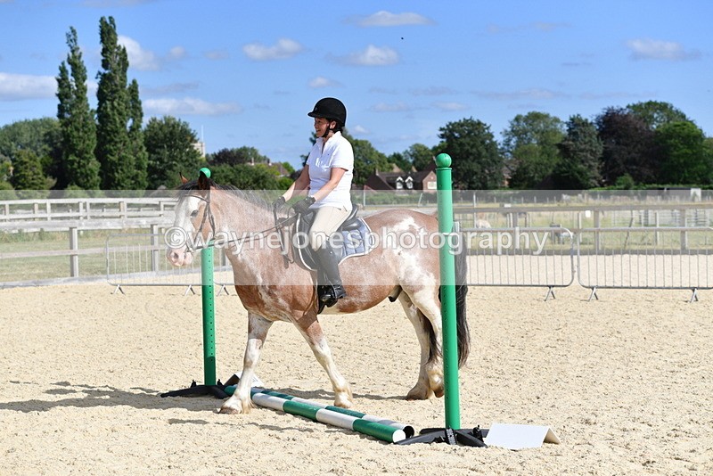 WJ5_5539 - Poles on the Floor